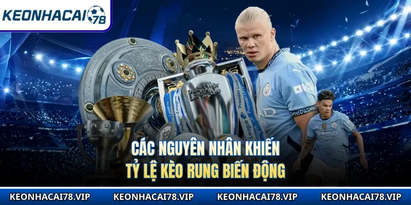 Các nguyên nhân khiến tỷ lệ kèo rung biến động