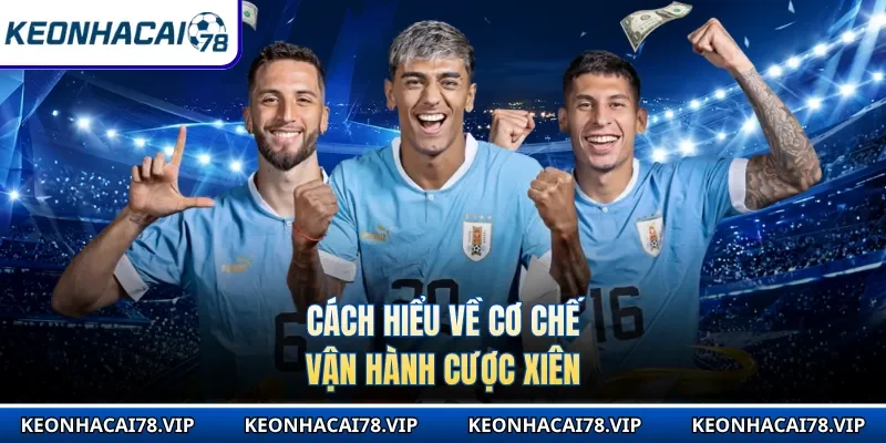 Cách hiểu về cơ chế vận hành cược xiên