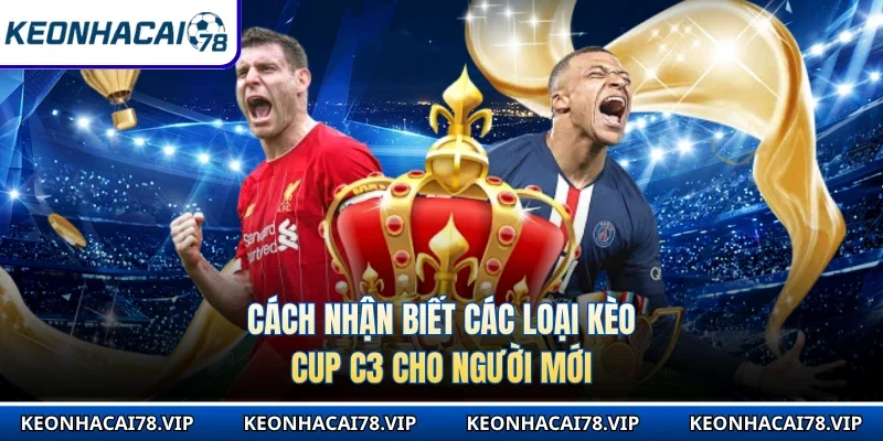 Cách nhận biết các loại kèo Cup C3 cho người mới