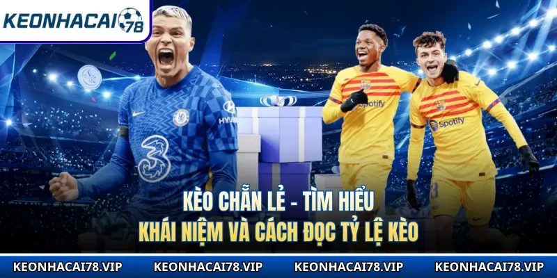 Kèo Chẵn Lẻ - Tìm Hiểu Khái Niệm Và Cách Đọc Tỷ Lệ Kèo