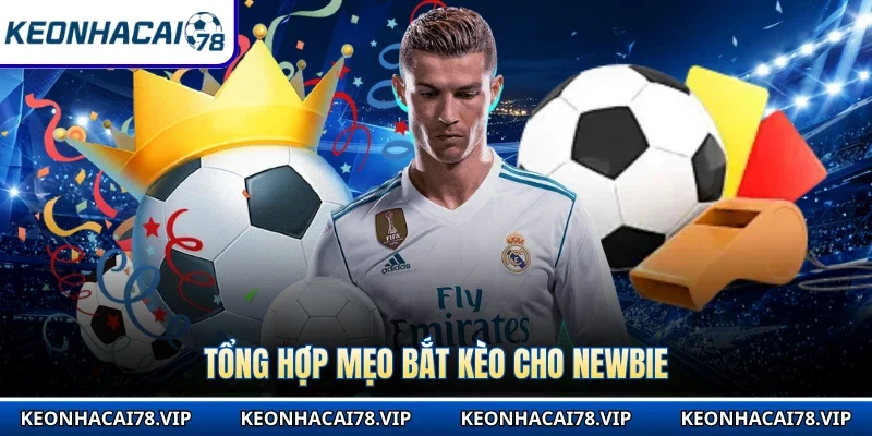 Tổng hợp mẹo bắt kèo cho newbie
